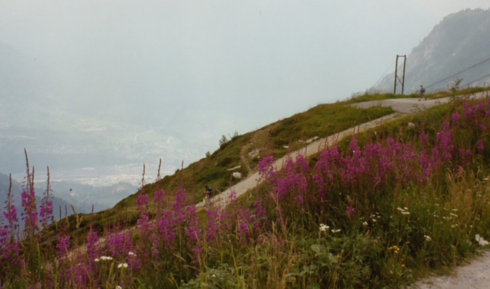 Gipfelbuch Sparrhorn 27 juli 2003
