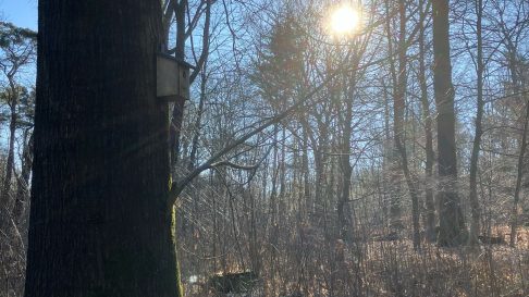 De zon… Ik hoop dat ie morgen weer terug komt’